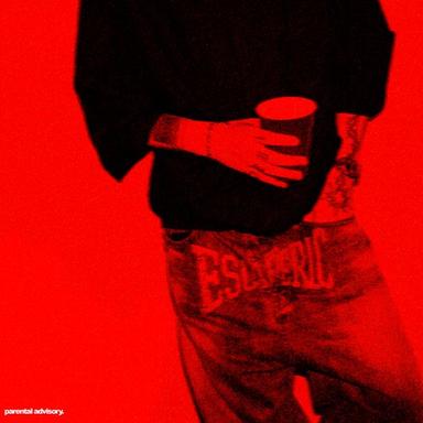 Album artwork